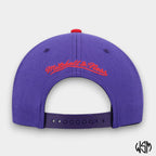 CAPPELLO TORONTO RAPTORS NBA CHAIN GANG