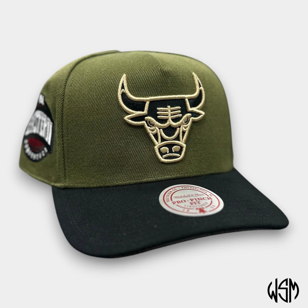 CAPPELLO CHICAGO BULLS IV PRO