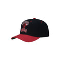 CAPPELLO MITCHELL & NESS NBA ALL IN 2.0