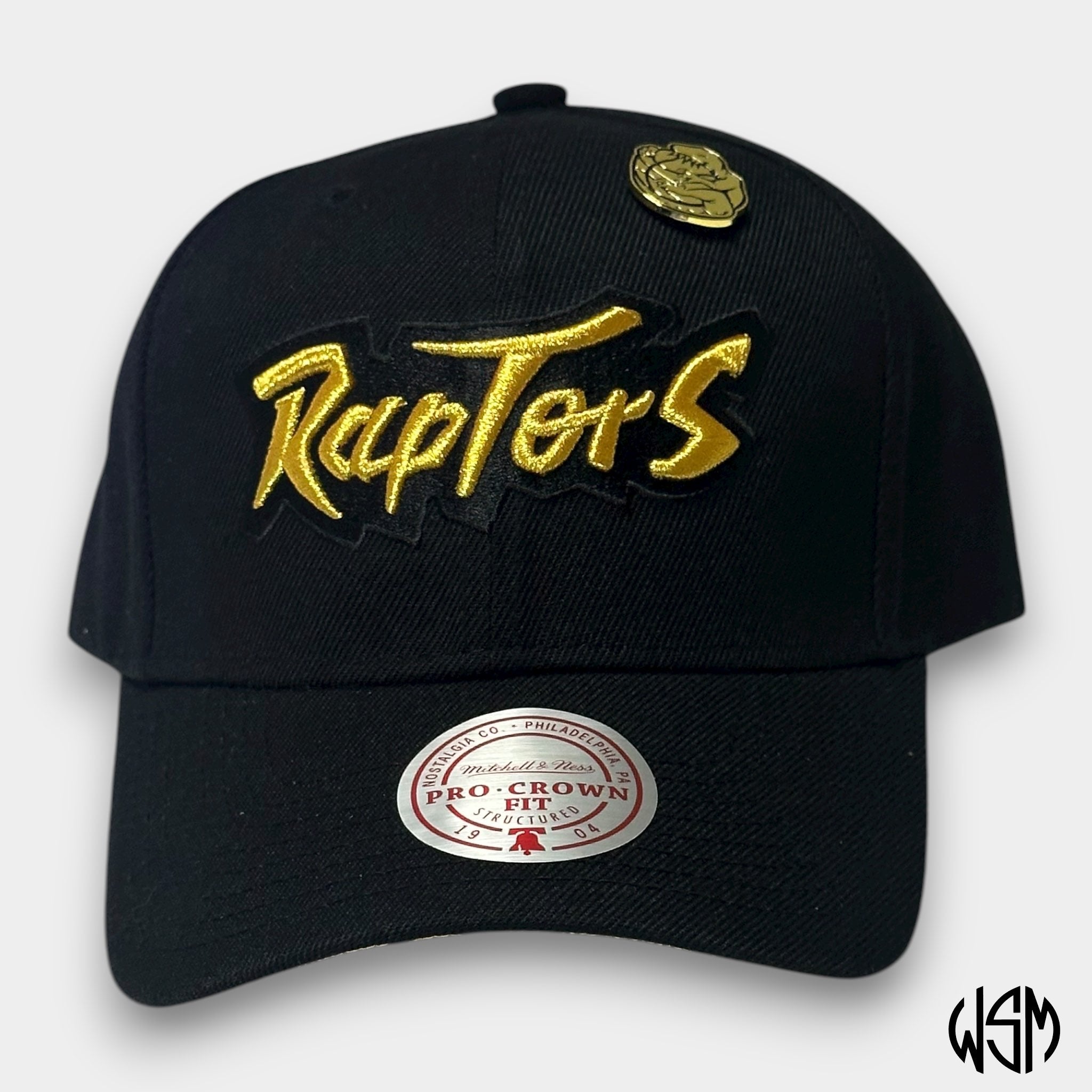 CAPPELLO TORONTO RAPTORS NBA PINNED GOLD