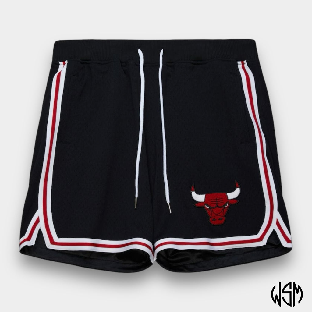 SHORT NBA LOGO OVER GAME