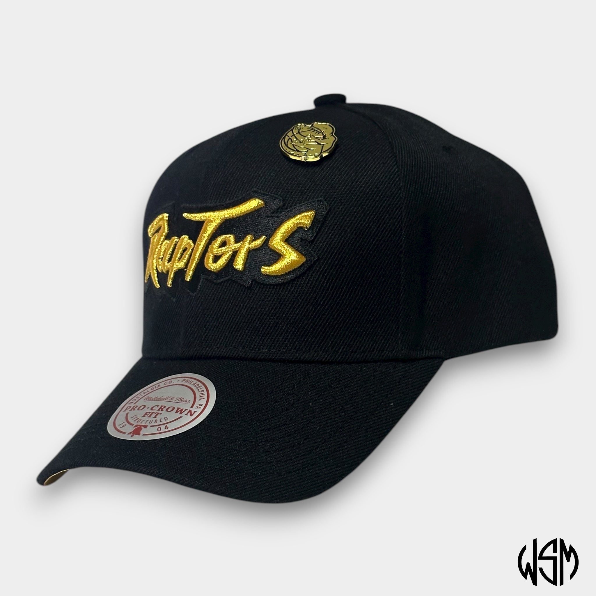 CAPPELLO TORONTO RAPTORS NBA PINNED GOLD