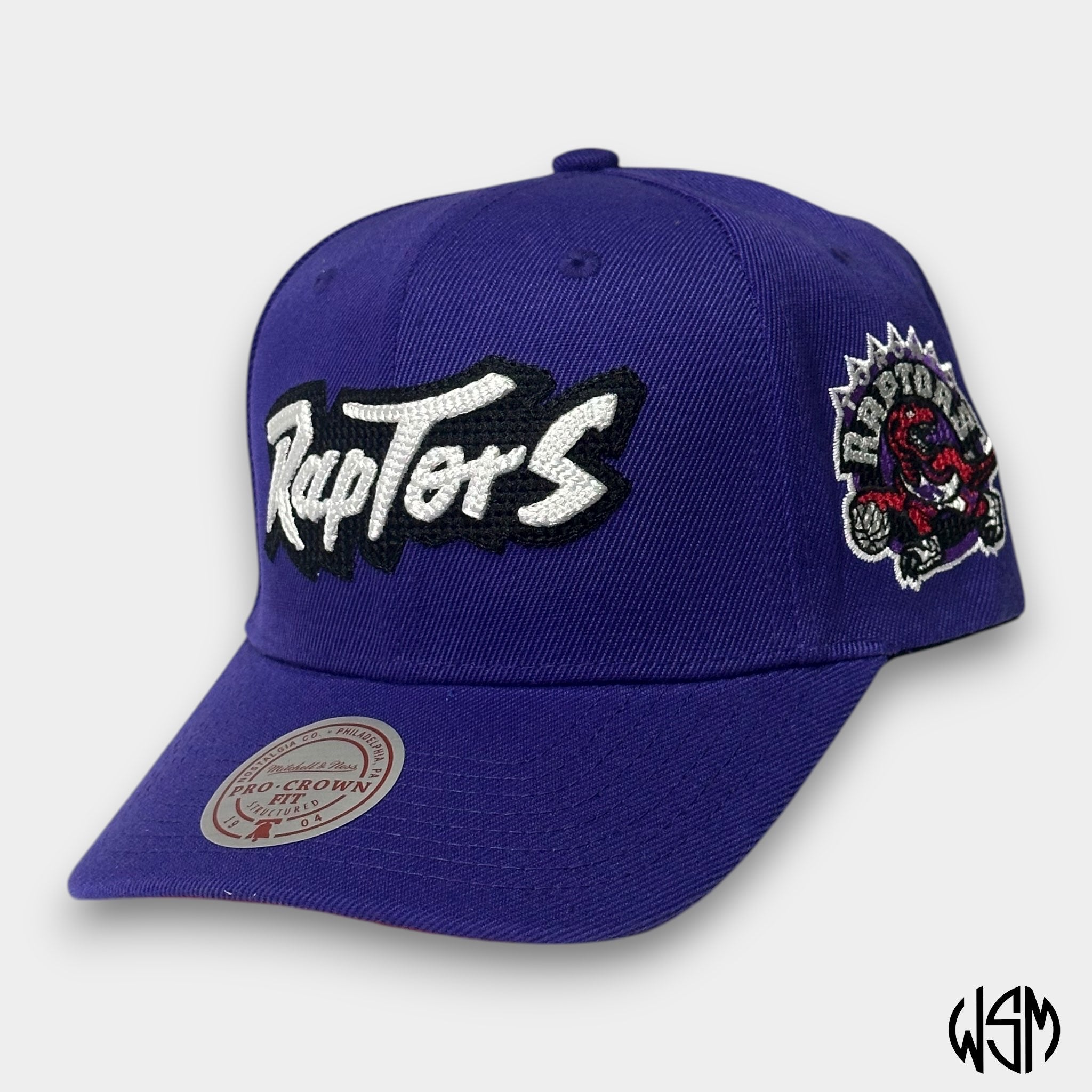 CAPPELLO TORONTO RAPTORS NBA CHAIN GANG