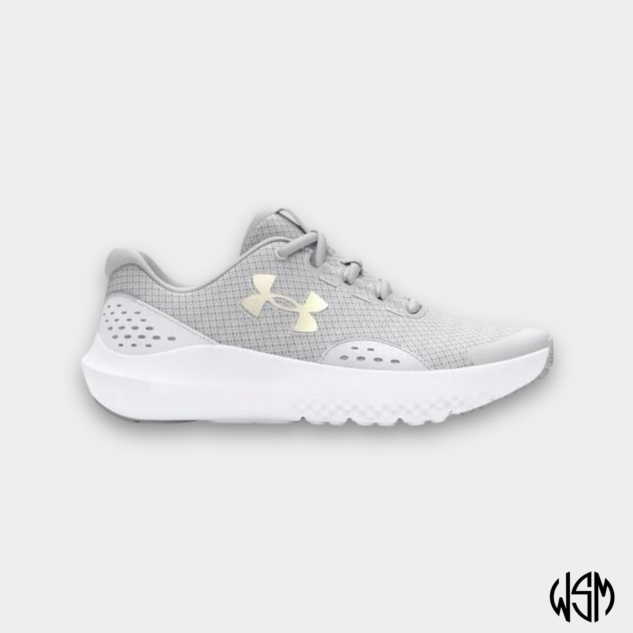 UNDER ARMOUR  BGS SURGE 4 JR