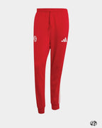 TUTA BAYERN MONACO ADIDAS DNA