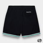 SHORT NBA LOGO OVER GAME