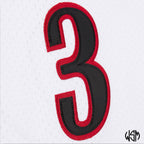 CANOTTA NBA WHITE JERSEY 76ERS ALLEN IVERSON