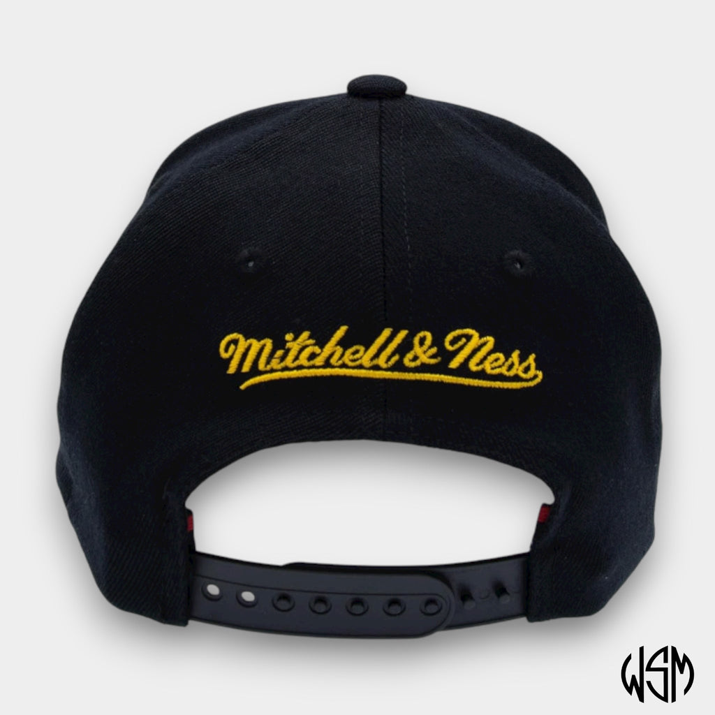 CAPPELLO TORONTO RAPTORS NBA PINNED GOLD