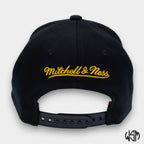 CAPPELLO TORONTO RAPTORS NBA PINNED GOLD