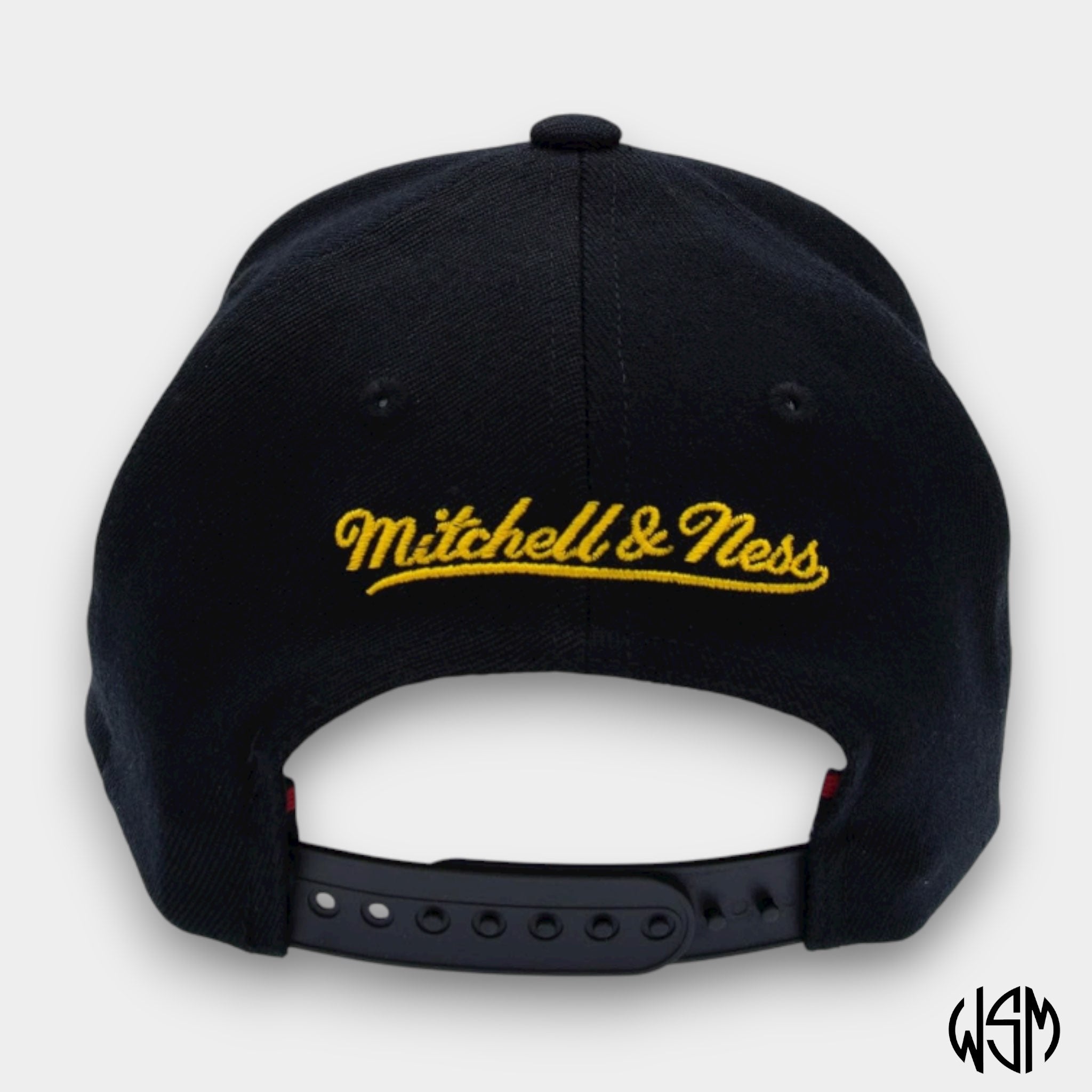 CAPPELLO TORONTO RAPTORS NBA PINNED GOLD