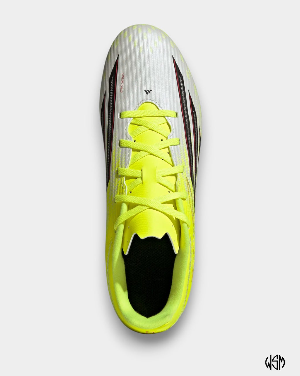F50 CLUB FG/MG